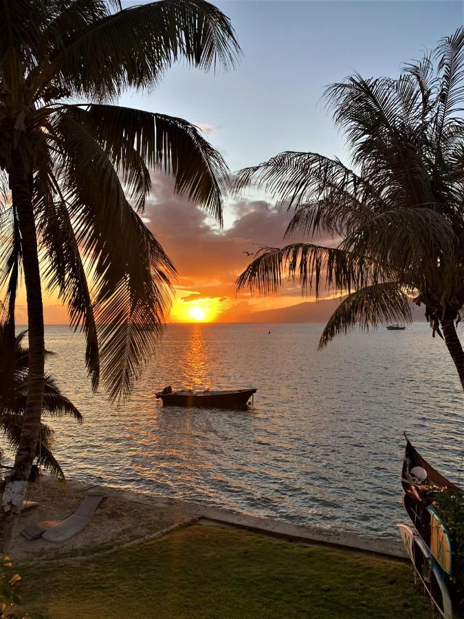 Moorea - Bungalow Chez Papou Afareaitu Kültér fotó